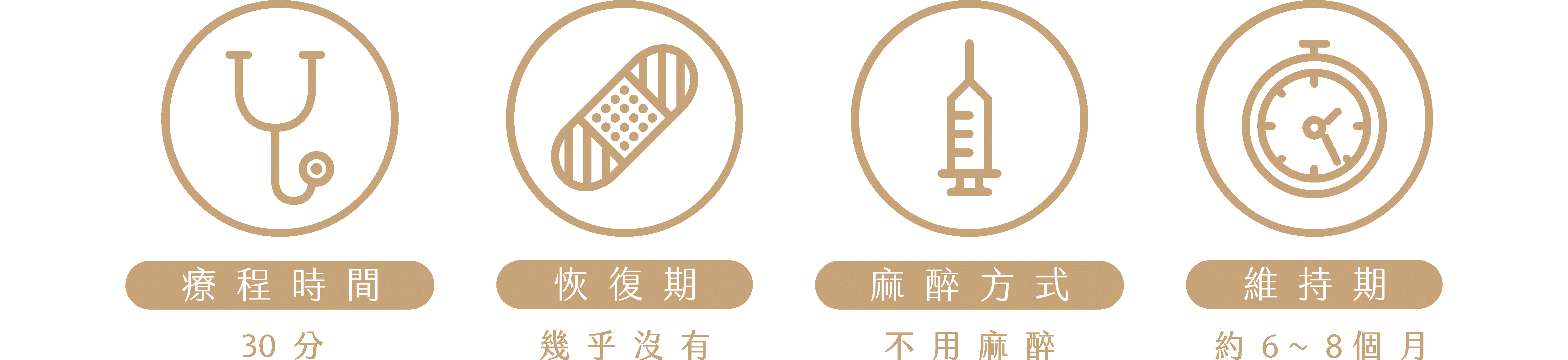 玻尿酸全臉雕塑